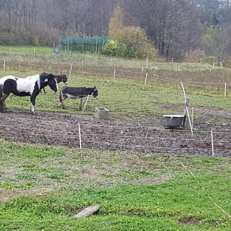 Agroturismo Dolomiti Casa Giusy Ponte nellʼAlpi